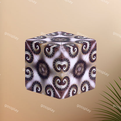 Magnetic Geometric Transform Cube